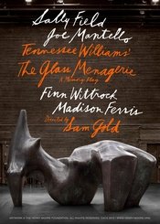 玻璃动物园 百老汇2017林肯中心复排版