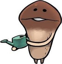 菇菇栽培