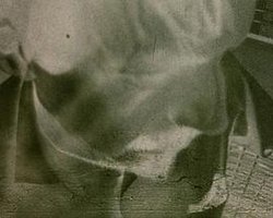 Two: Creeley/McClure