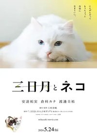 三日月与猫
