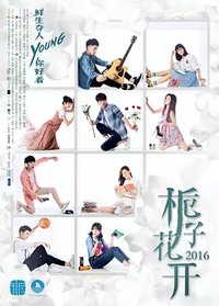 栀子花开2017