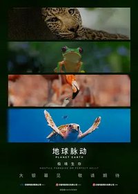 地球脉动：极境生存