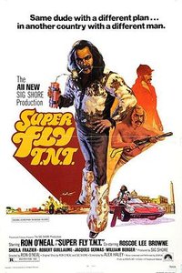 Super Fly T.N.T.