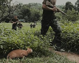 Comrade Poopy