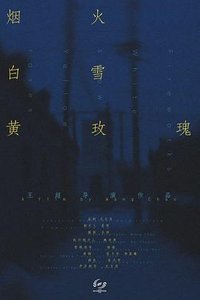 烟火白雪黄玫瑰