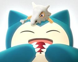 宝可梦 卡比兽与卡拉卡拉