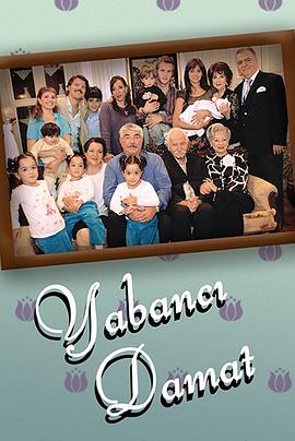 异国新郎 (Yabanci damat)