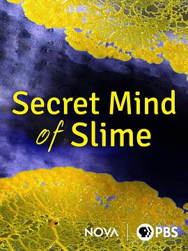 PBS新星Nova (黏菌的秘密头脑)