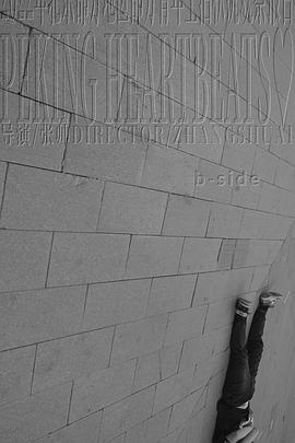 2022年北京部分地区部分青年生活状况观察报告 b-side