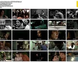 5 Frações de Uma Quase História