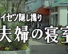 ワイセツ隠し撮り 〔夫婦の寝室〕