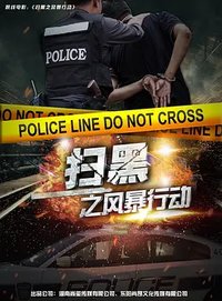 扫黑之风暴行动