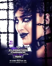 WWE：铁笼密室淘汰赛 2024