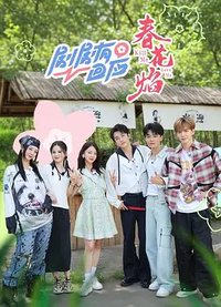 剧剧有回应·春花焰