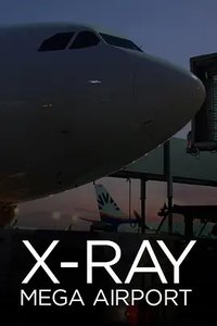 X-Ray Mega Airport (透视超级机场)