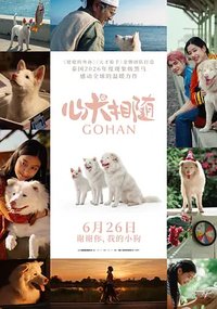 我们的狗狗