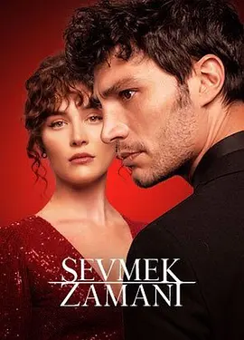 Time to Love (Sevmek Zamani)
