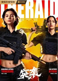 The Raid