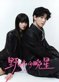 野林向晚星