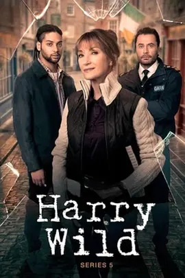 Harry Wild Season 5