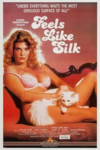 Feels Like Silk