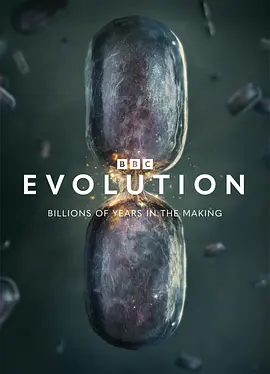 Evolution