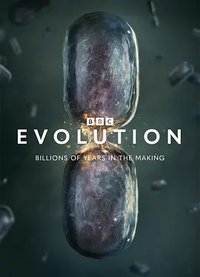 Evolution