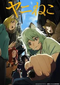 Chainsmoker Cat