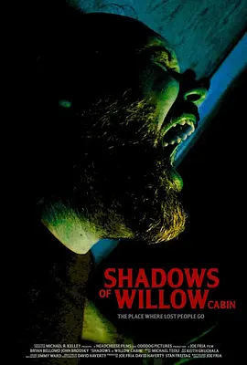 Shadows of Willow Cabin