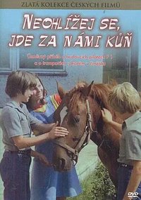 Don't Look Back, There Is a Horse Behind Us