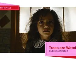 Two Trees