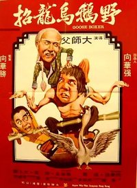 Shaolin's Tough Kid
