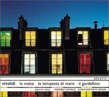 Recorder Concerti
