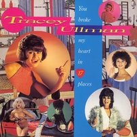 You Broke My Heart in 17 Places