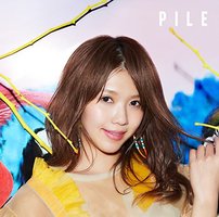 PILE(通常盤)