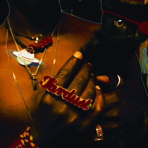 The Inevitable Rise and Liberation of Niggy Tardust