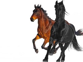 Old Town Road (Remix)