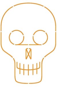 Graça Infinita (Companhia das Letras 2014)