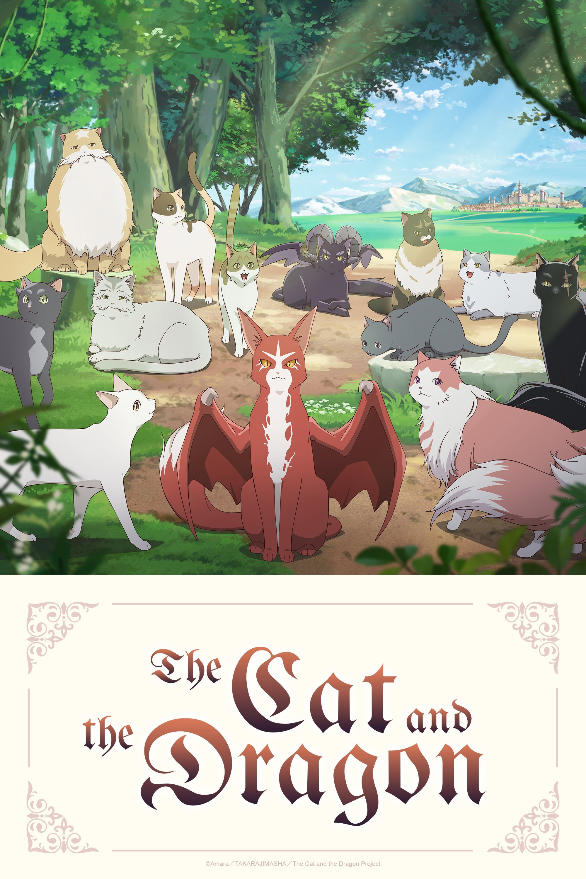 猫与龙