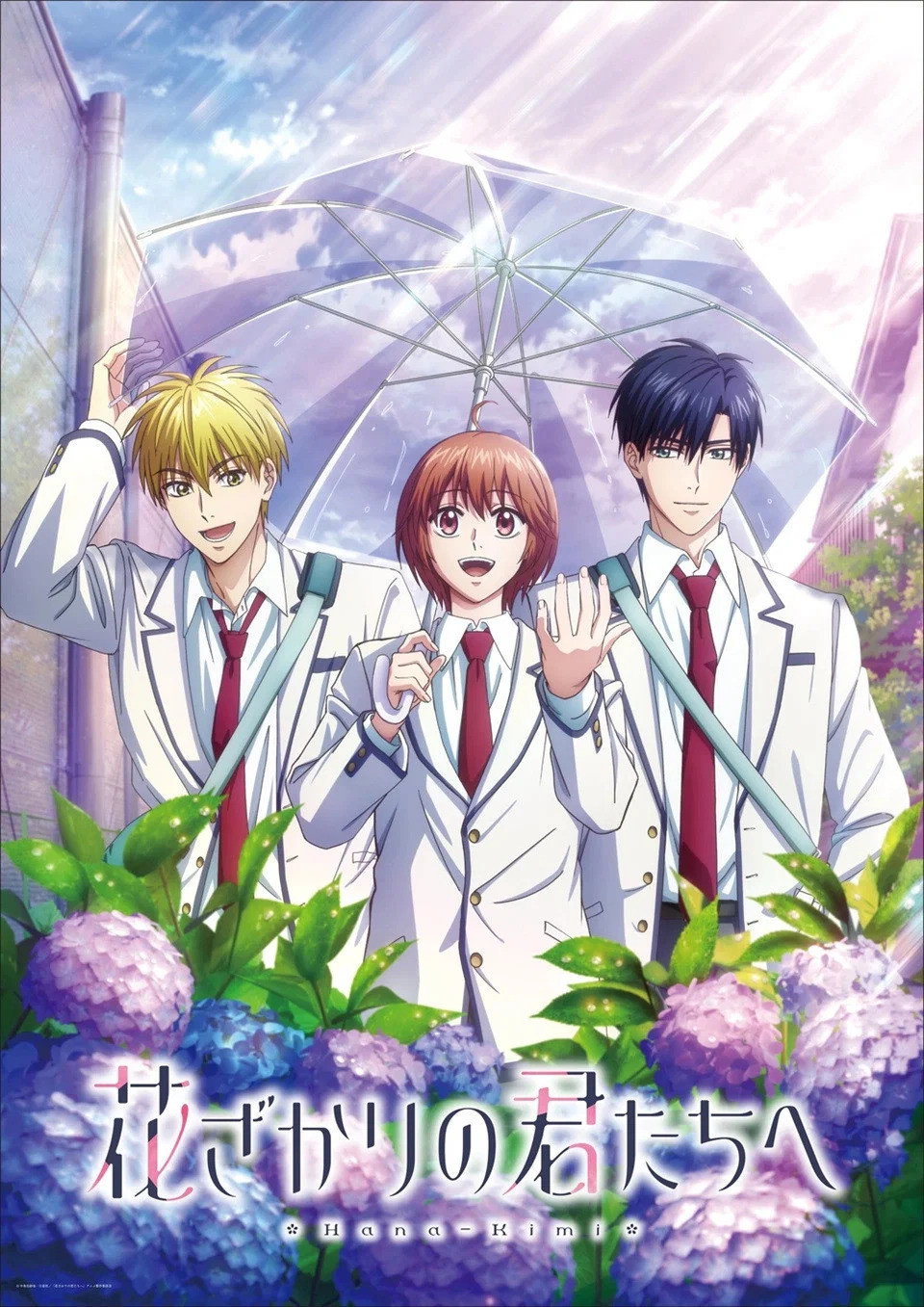 花样少年少女