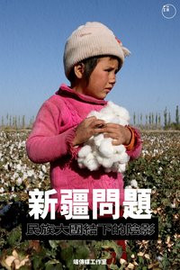 新疆問題：民族大團結下的陰影: 凍結的城市，與消失的新疆人