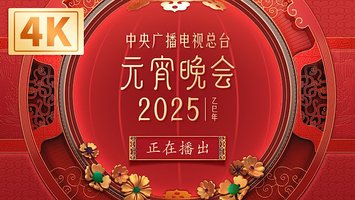 中央广播电视总台·2025年元宵晚会