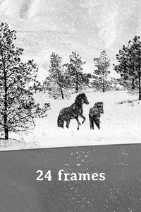 24帧