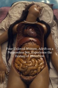 四个未被爱过的女人，漂浮在漫无目的的海上，体验解剖的喜悦