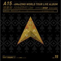 A15 - 张惠妹 AMeiZING Live 世界巡回演唱会 跨世纪盛典 辉煌完成式