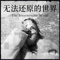 无法还原的世界