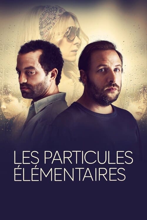 The Elementary Particles