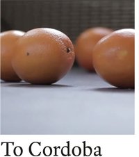 到科尔多瓦