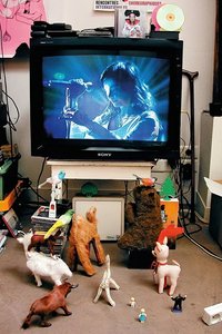 比约克剑桥现场