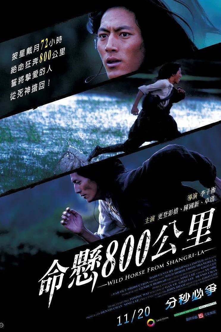 命悬800公里